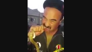 خوردن مار زنده توسط کماندوی افغانستان