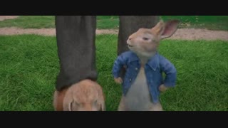 دانلود انیمیشن کمدی ماجراجویی  پیتر خرگوشه 2018-دوبله حرفه ای-peter rabbit