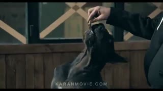 دانلود فیلم هزارپا  تیزر