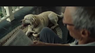 فیلم سینمایی Gran Torino 2008 دوبله فارسی با هنرنمایی کلینت استوود