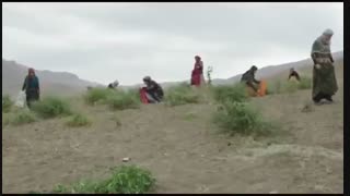 دانلود سریال راه و بیراه