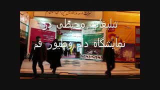 خاک گربه