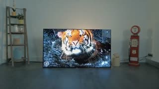 تلویزیون سونی اولد 55A1E سری A1