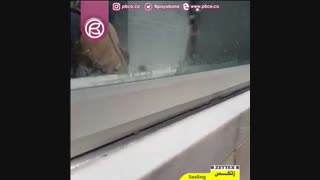 آب بندی شیشه های استخر