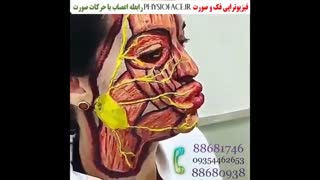 علائم فلج بل