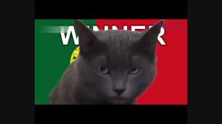 پیش بینی گربه جام جهانی برای بازی ایران و پرتغال و حیوانات دیگر