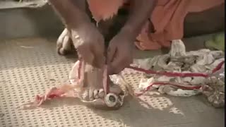 چو ایستاده ای   دست افتاده گان گیر