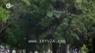 دانلود قسمت 196 غنچه های زخمی دوبله فارسی