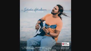 دانلود آهنگ جدید و زیبای  امیر عباس گلاب بنام شاه قلبم