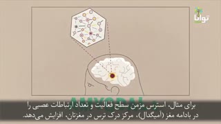 چگونه استرس بر مغز شما اثر می-گذارد؟
