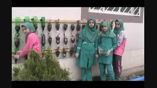 دیوار سبز دبستان شاهد دخترانه بابلسر