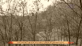 روایتی مستند از تاریخ ۲۰۰ ساله میدان حسن آباد تهران