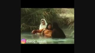 دانلود رایگان نیلوفر|FULL HD|HQ|HD|4K|1080|720|480|نیلوفر|نیلوفر