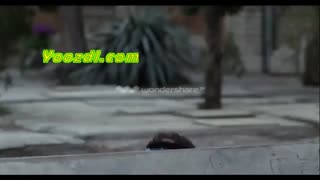 دانلود قسمت پانزدهم سریال گلشیفته