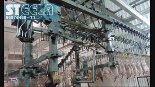 پا انداز مرغ