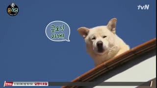 قسمت سوم برنامه تلویزیونی آشپزخانه کانگ ۲ / Youn’s Kitchen Season 2 / سریال کره ای / با زیرنویس فارسی