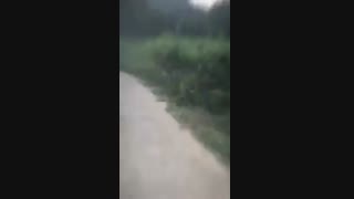 تور گردشگری سهند توریسم در رشت