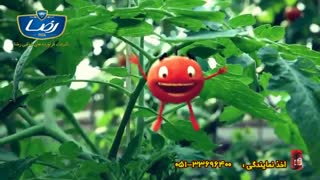 فراورده های غذایی رضا