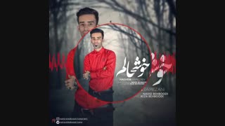 آهنگ جدید زیبا و شاد هاشم رمضانی به نام خوشحالم