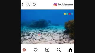 مستند اصفهانی