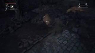 طی کردن لامپ cathedral ward تا old yharnam