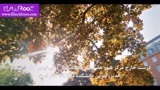دانشگاه آلتو - فنلاند