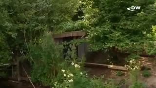 خانه شناور روی آب