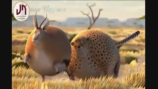 حیات وحش * فروش انواع پوشاک برند ( عمده ) *