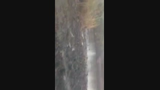 اینجا تالاب هور العظیم بستان است