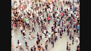 همه آدمهـا...