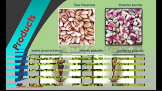 شرکت خشکبار زرین گوهر آوین