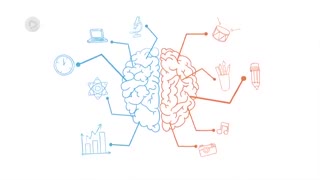 مغز انسان چطور کار می کند؟