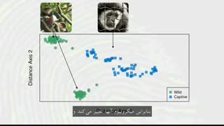 چگونه میکروب هایی مه در روده شما زندگی میکنند را مطالعه میکنیم؟