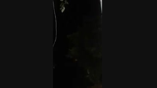 ماه گرفتگی رو دیدین؟اولین بارمه میبینممم