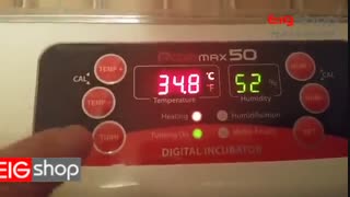 کار با دستگاه جوجه کشی آرکام پرو 50