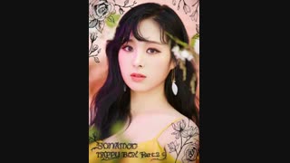 Minjae عضو Sonamoo