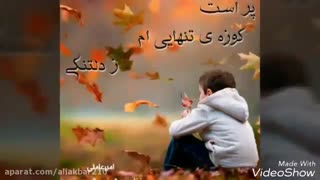 عاشقانه ای از امیر عاملی