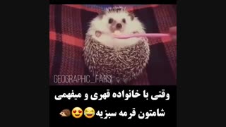 دیوووووووووونهههههههههه شدم البته بودم