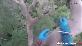 واقعا چه جراتی داره