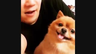 بچز کسی آدرسشو داره؟!..[کپشن پلیز]