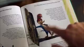 دانلود فیلم Woody Woodpecker 2017