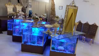 سالن عقد مجلل