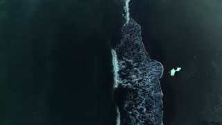 عروس وداماد