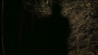 موزیک ویدیو «می دونیم کی هستی» از نیک کیو و بد سیدز با ویدیوگرافی  گاسپار نوئه