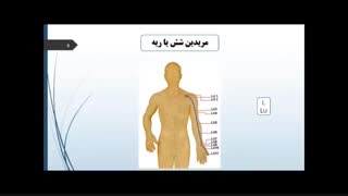 کانال های انرژی بدن و نقاط درمانی آن