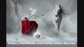 قرار...-سروده استاد مرتضی کیوان هاشمی