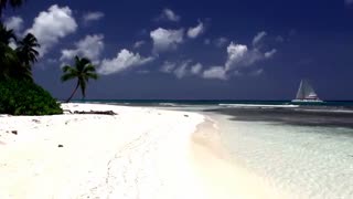 طبیعت استوایی با کیفیت HD