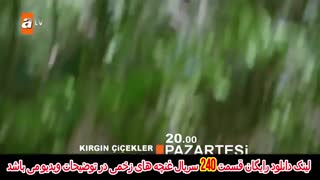 سریال غنچه های زخمی قسمت 240 دوبله فارسی کامل