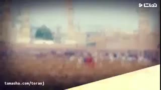 سالروز شهادت امام محمد باقر(علیع السلام)