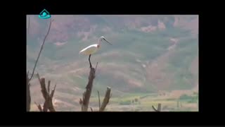 موسیقی زیباچهارمحال وبختیاری